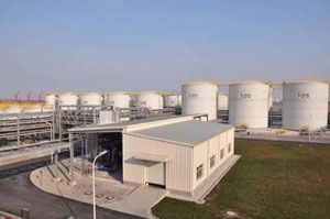 勁霸 相關(guān)資訊