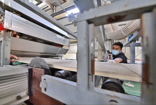 助力碳減排，我市首批8家建材企業(yè)獲評星級認(rèn)證